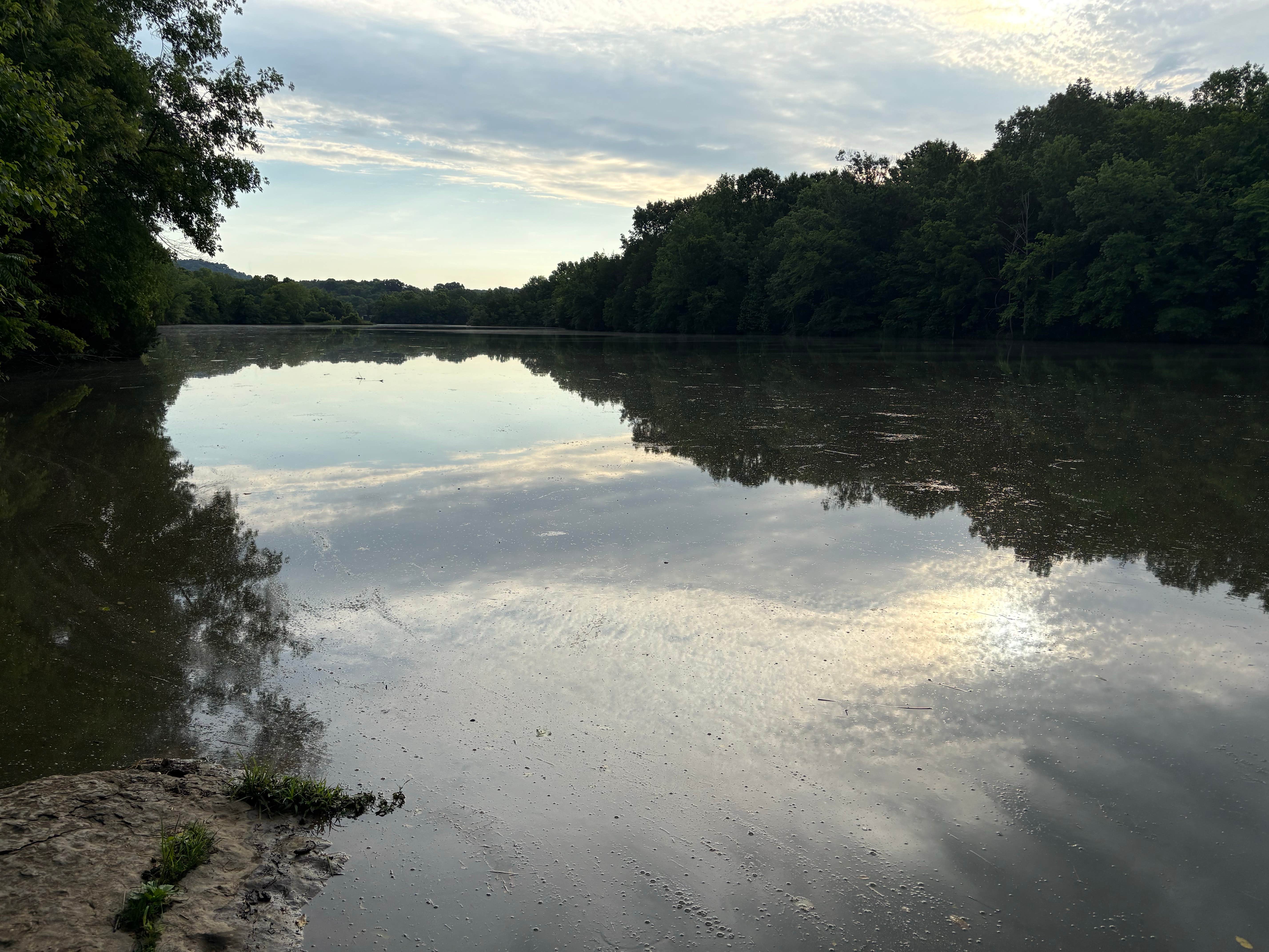 Jill M.'s photo of a dispersed camping area at Cordell Hull Horseback Trails near Old Hickory Lake