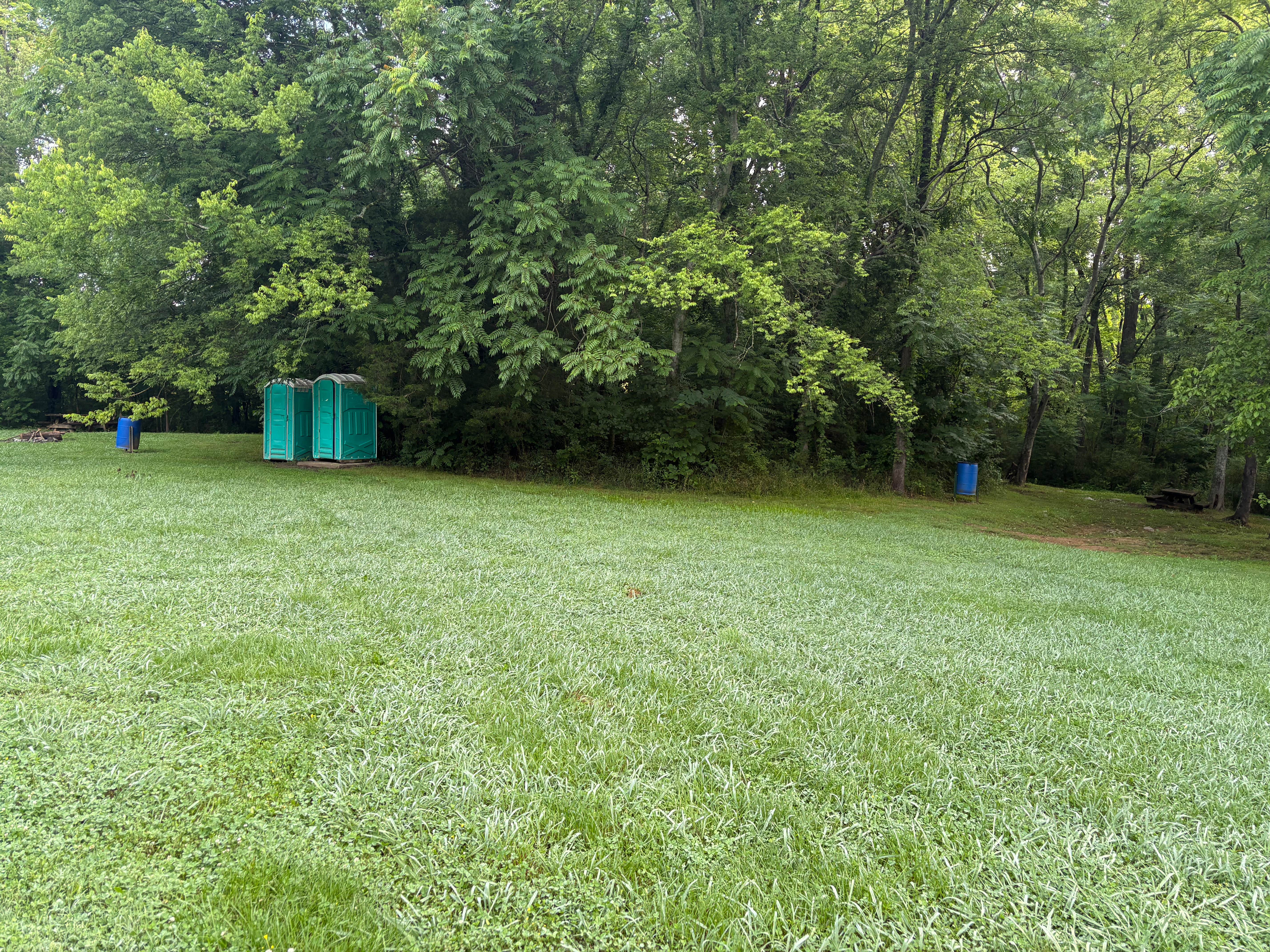 Camper-submitted photo at Cordell Hull Horseback Trails near Old Hickory Lake