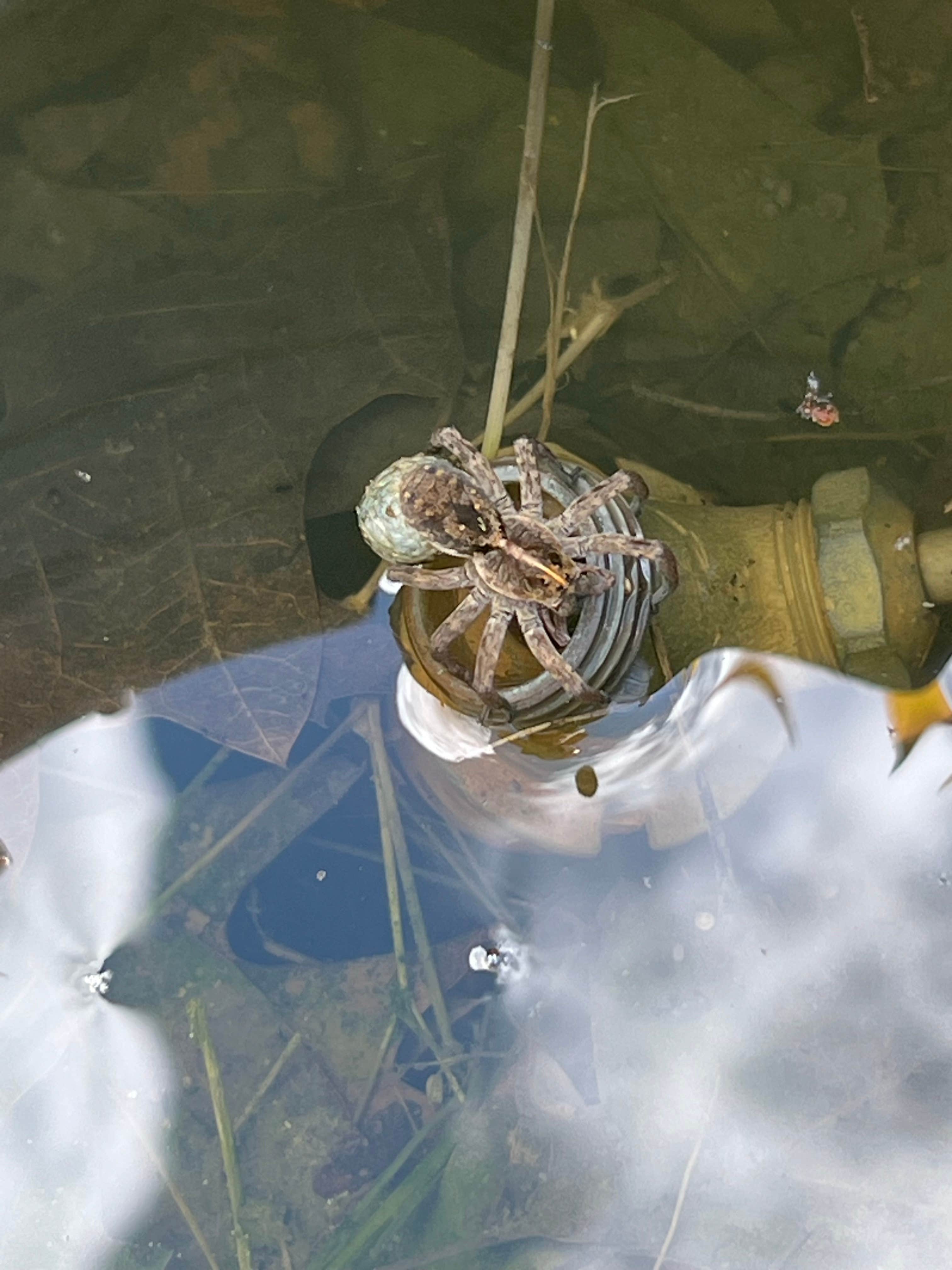 Camping near RCV Properties: Corinth RV Park, Corinth, Mississippi