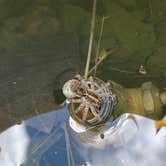 Review photo of Corinth RV Park by coach Q., June 17, 2025