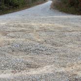 Review photo of Corkwood Conservation Area by tim O., October 26, 2026
