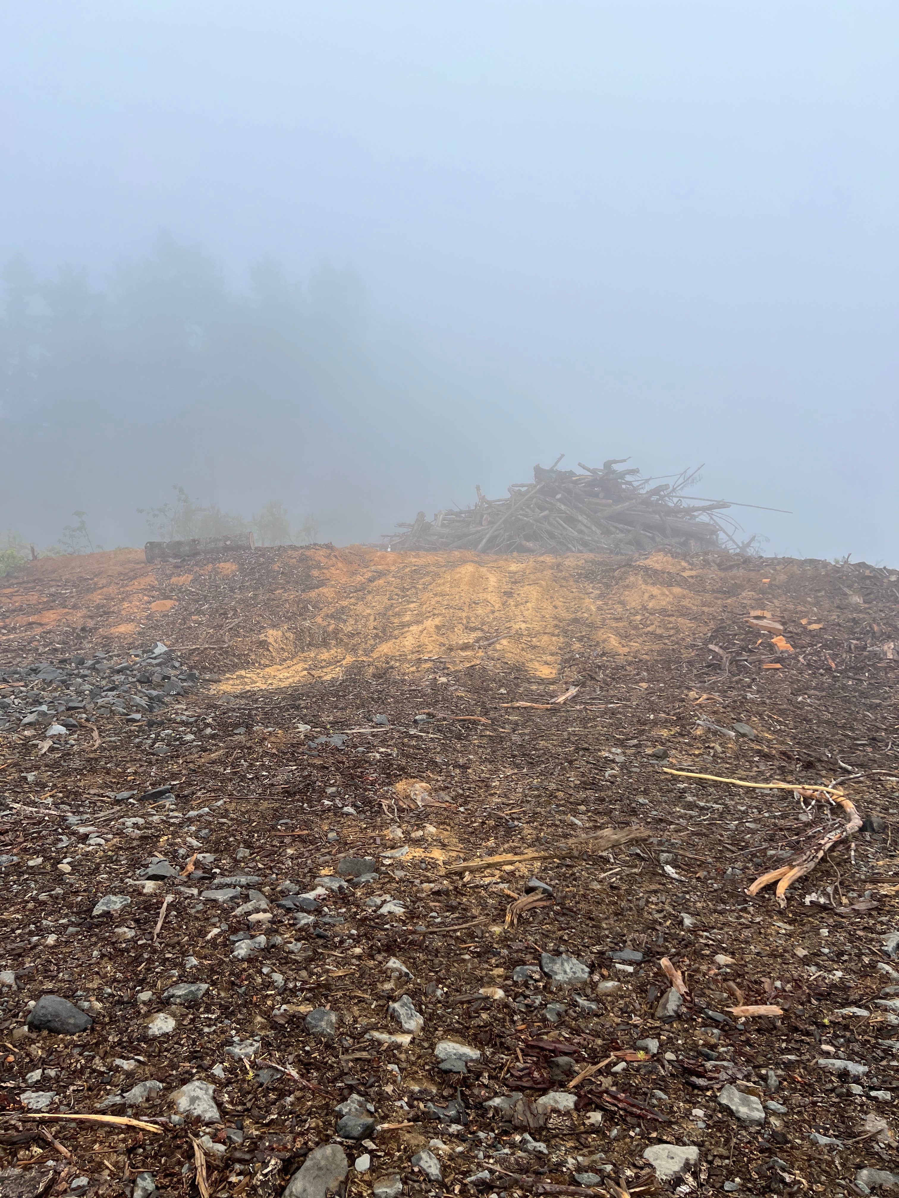 Camper-submitted photo at Corn Spur Road BLM near Florence, OR