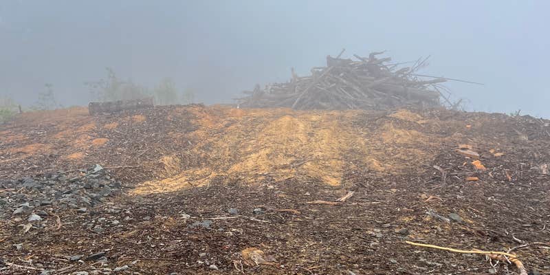 Camper submitted image from Corn Spur Road BLM