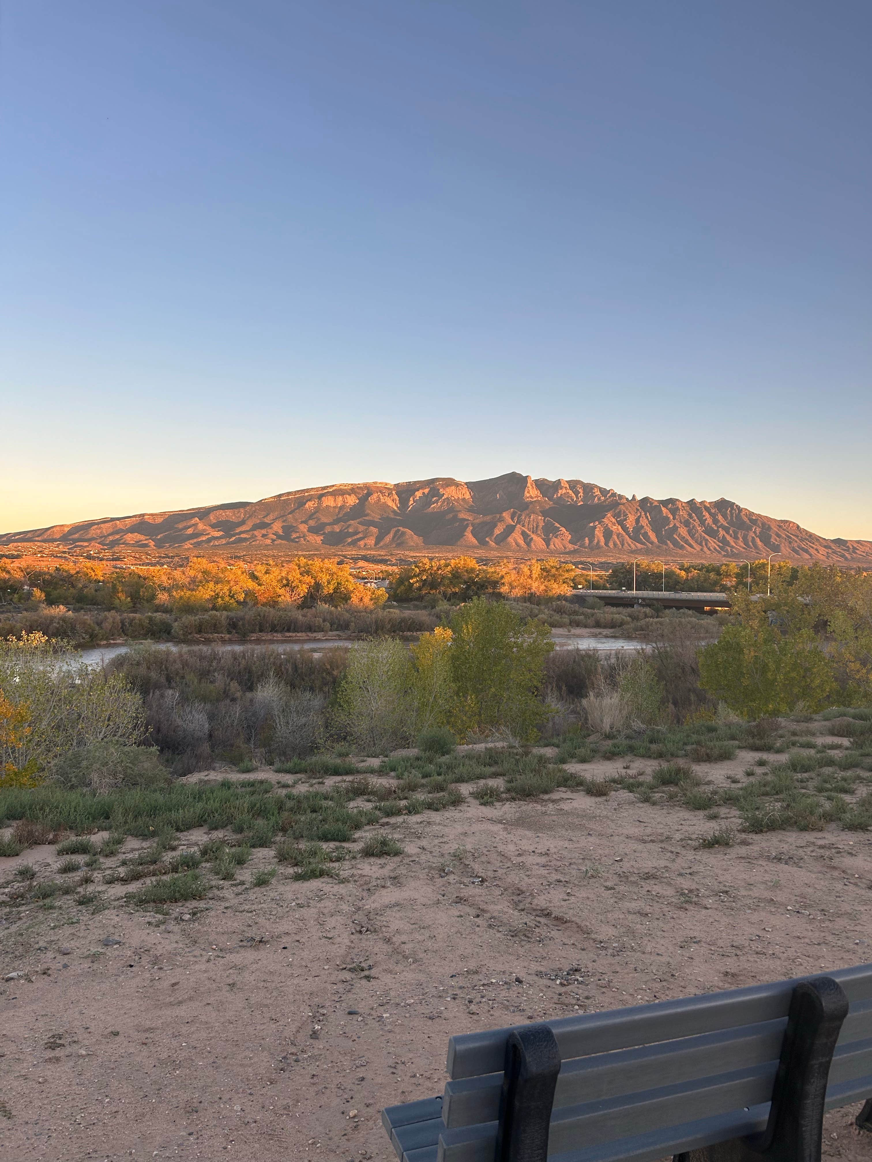 Camper submitted image from Coronado campground - 4