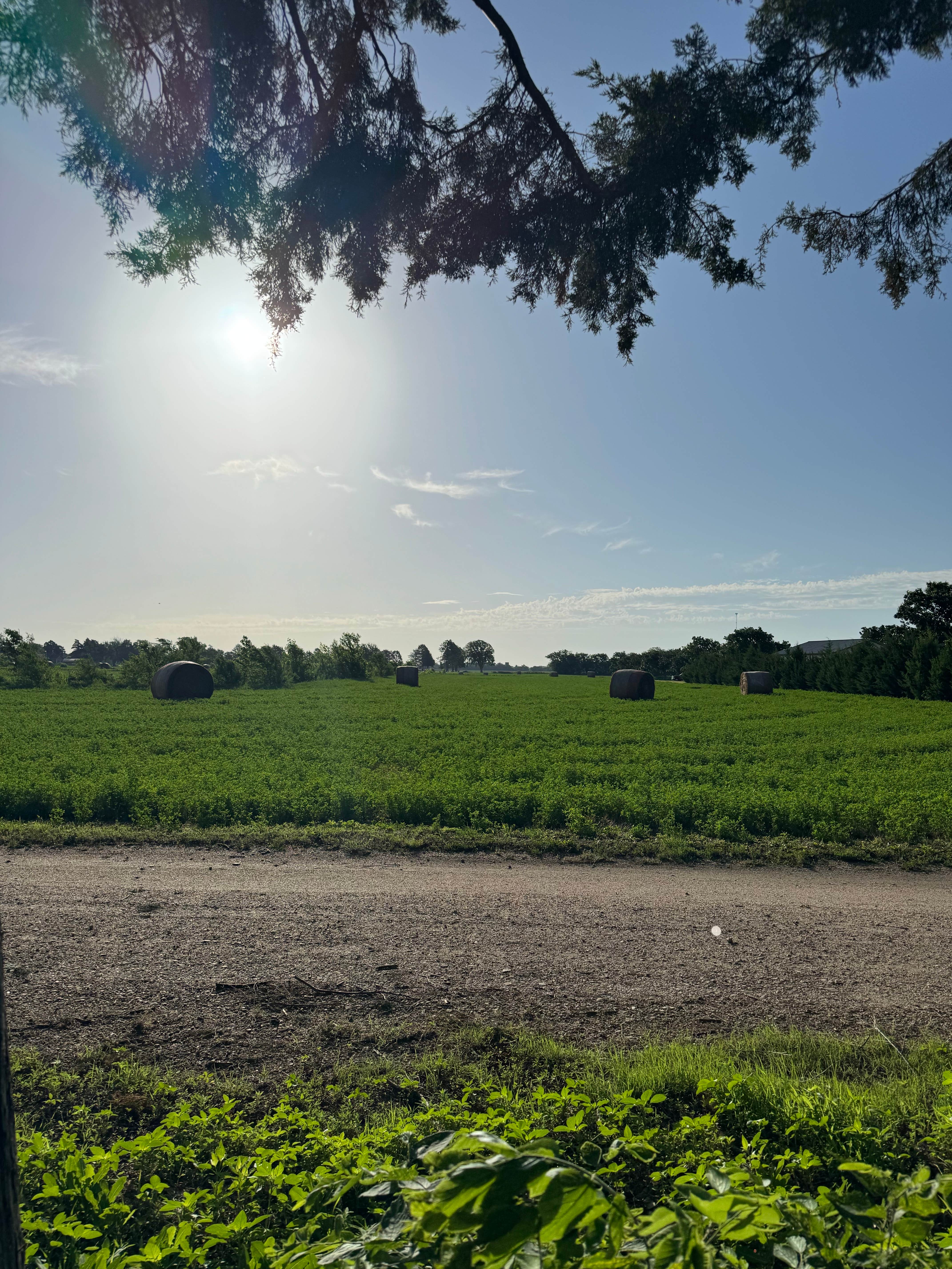 Camper-submitted photo at Coronado Motel and RV Park near Minneapolis, KS