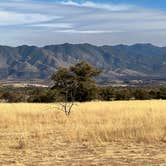 Review photo of Coronado National Forest Hwy 83 by Kevin S., February 20, 2025