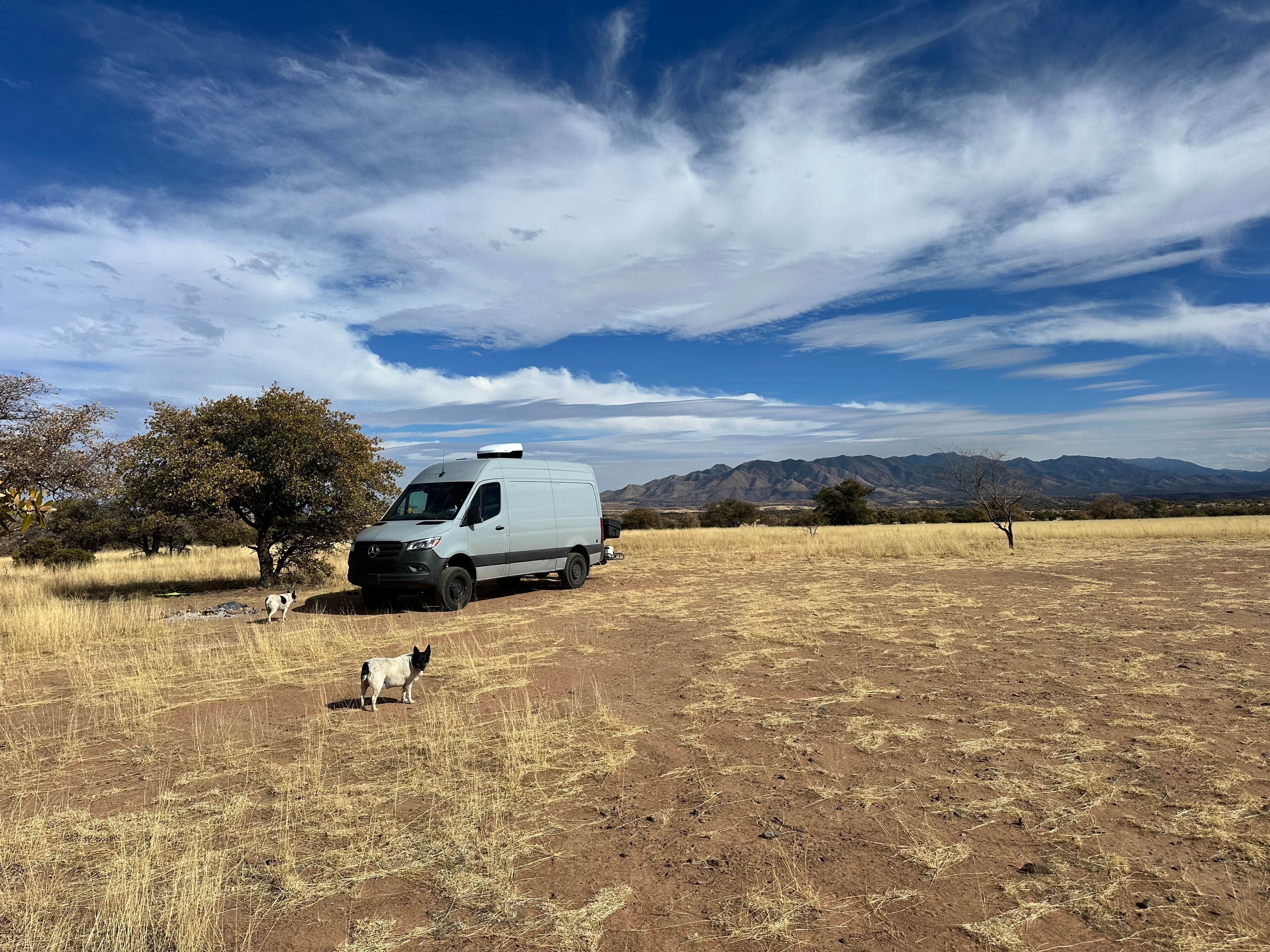Kevin S.'s photo of camping with pets at Coronado National Forest Hwy 83 near Sonoita, AZ