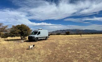 Kevin S.'s photo of camping with pets at Coronado National Forest Hwy 83 near Patagonia, AZ