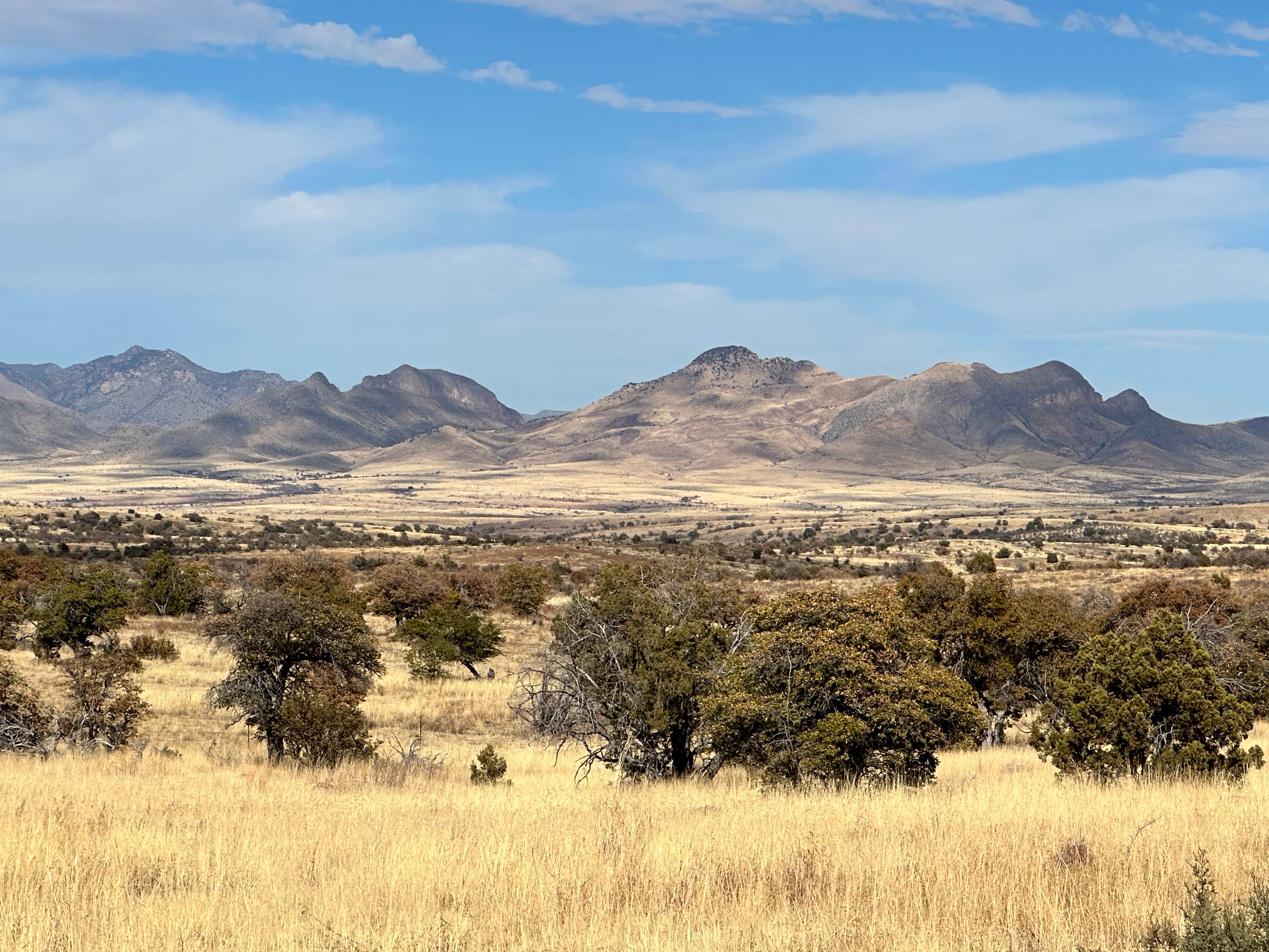 Camper submitted image from Coronado National Forest Hwy 83 - 1