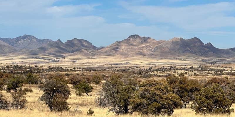 Camper submitted image from Coronado National Forest Hwy 83