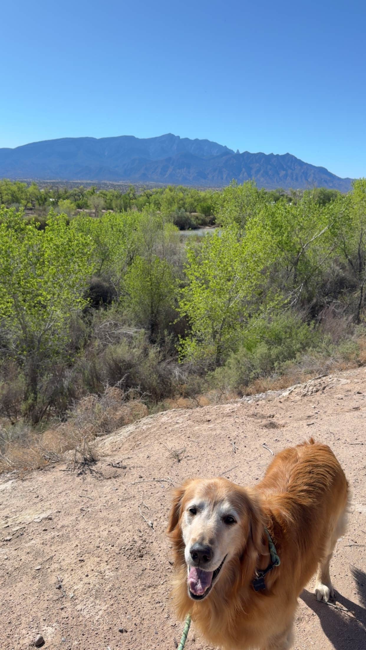 Erin C.'s photo of camping with pets at Coronado Campground near Rincon, NM