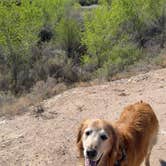 Review photo of Coronado Campground by Erin C., April 28, 2025