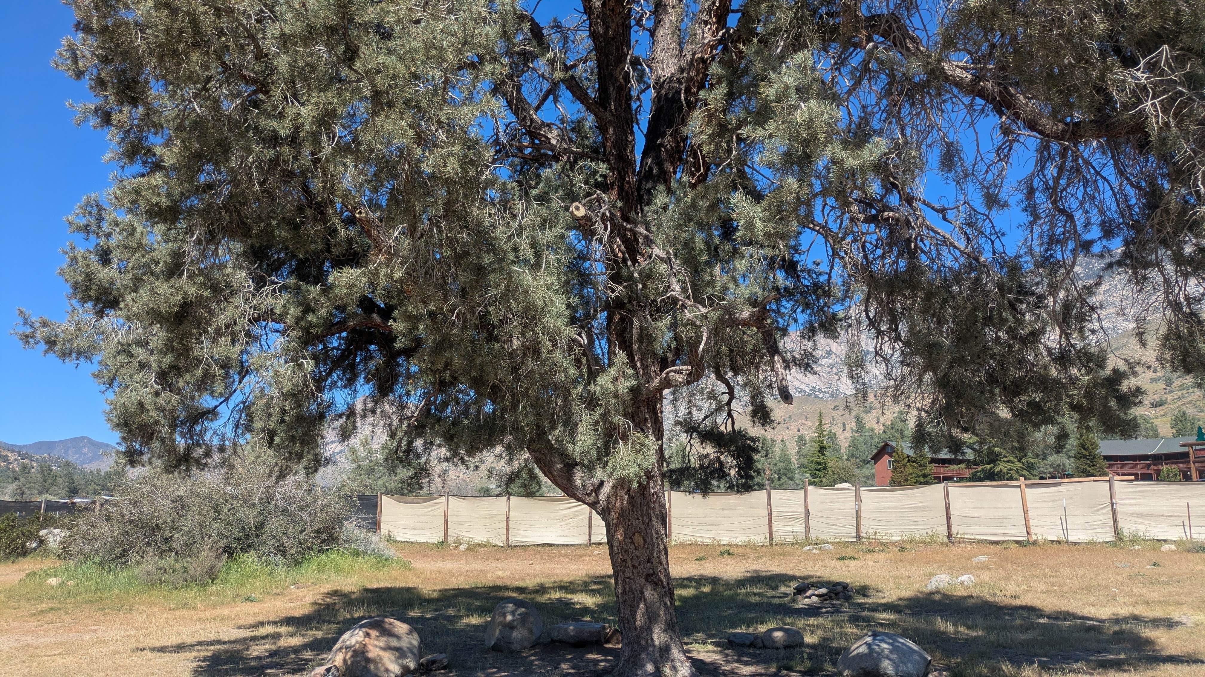 Camper-submitted photo at Corral Creek Recreation Site near Ridgecrest, CA