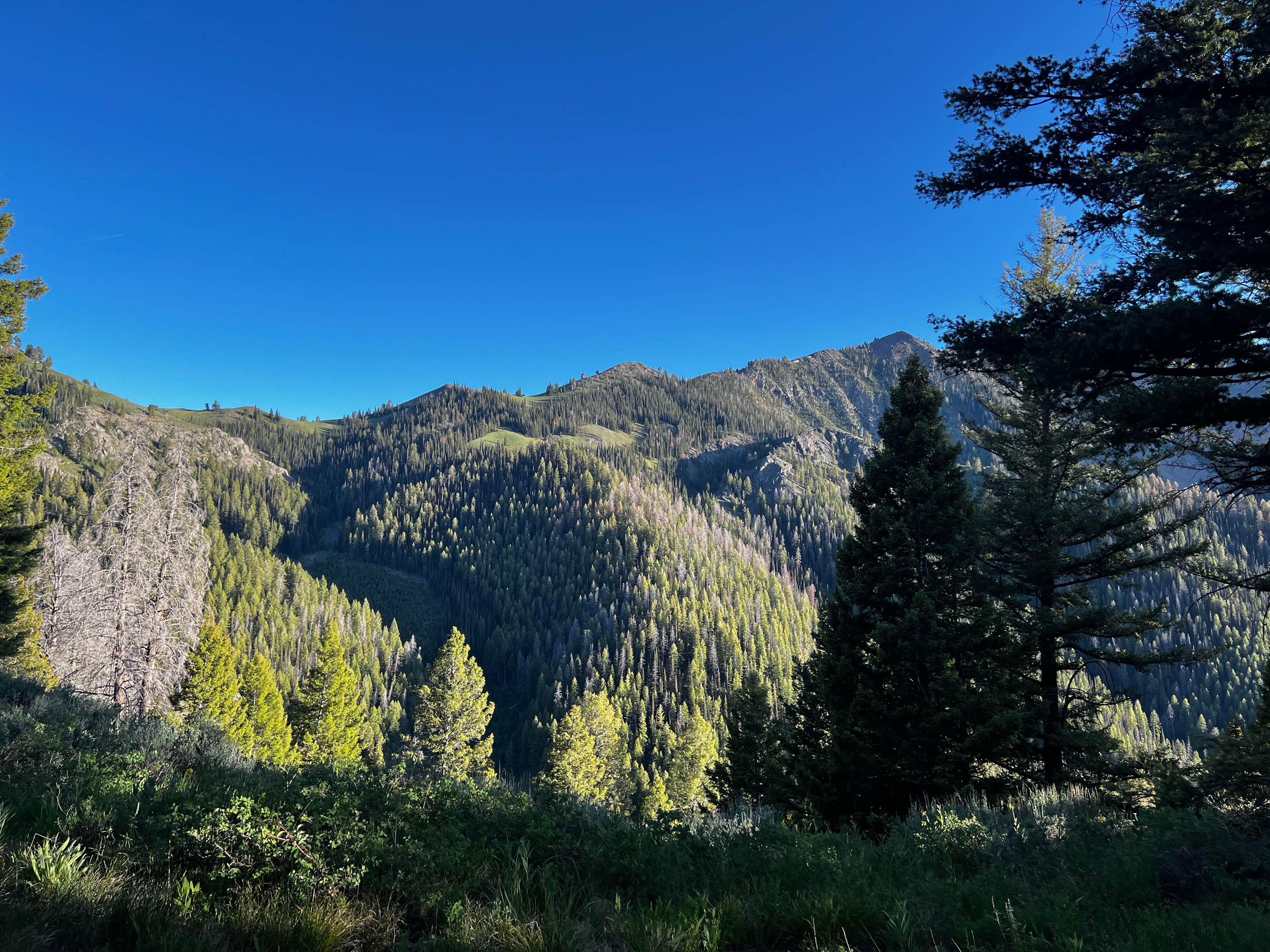 Camper-submitted photo at Corral Creek Canyon Dispersed near Sun Valley, ID