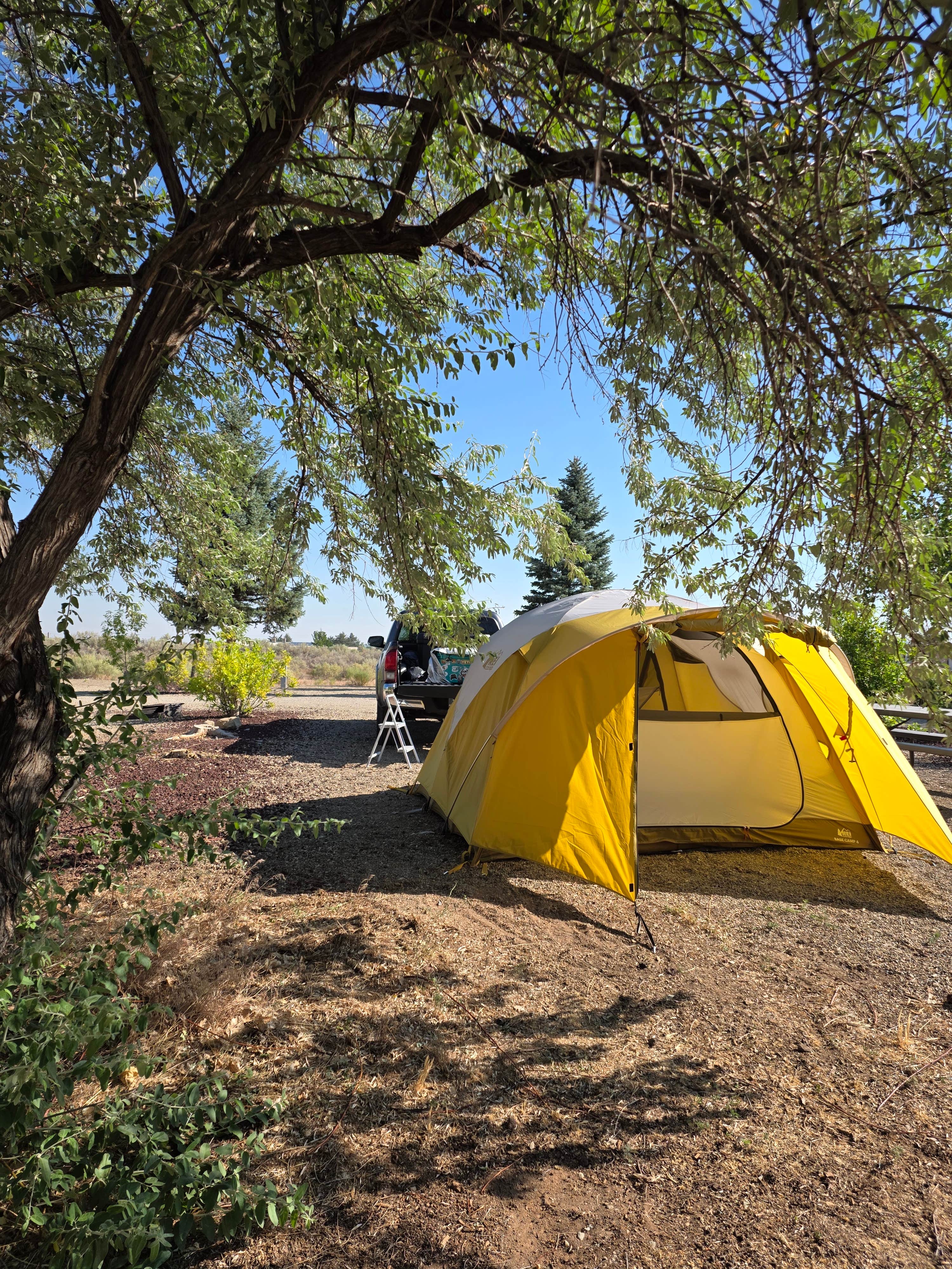 Camping near Ramble at Mesa Verde: Cortez RV Resort, Cortez, Colorado