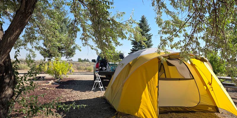 Camper submitted image from Cortez RV Resort