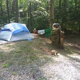 Review photo of Cosby Campground — Great Smoky Mountains National Park by Perry N., August 11, 2024