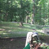 Review photo of Cosby Campground — Great Smoky Mountains National Park by Perry N., August 11, 2024