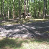 Review photo of Cosby Campground — Great Smoky Mountains National Park by Perry N., August 11, 2024