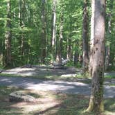 Review photo of Cosby Campground — Great Smoky Mountains National Park by Perry N., August 11, 2024