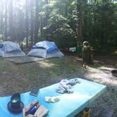 Review photo of Cosby Campground — Great Smoky Mountains National Park by Perry N., August 11, 2024