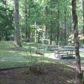 Review photo of Cosby Campground — Great Smoky Mountains National Park by Perry N., August 11, 2024