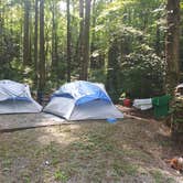 Review photo of Cosby Campground — Great Smoky Mountains National Park by Perry N., August 11, 2024