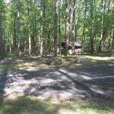 Review photo of Cosby Campground — Great Smoky Mountains National Park by Perry N., August 11, 2024