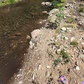 Review photo of Cotton Creek Trailhead by Nikki , September 5, 2026
