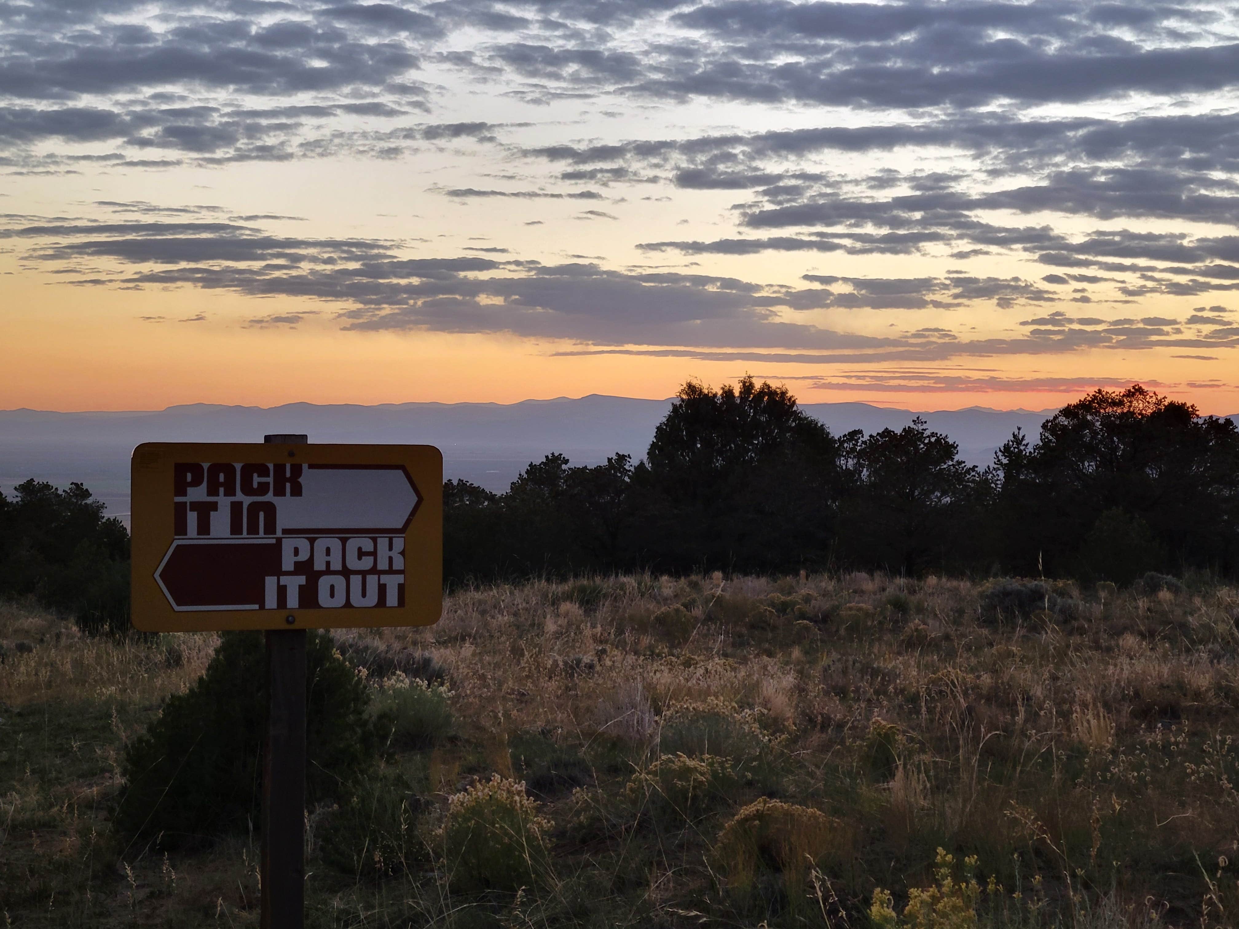 Angela E.'s photo of a dispersed camping area at Cotton Creek Trailhead near Hillside, CO