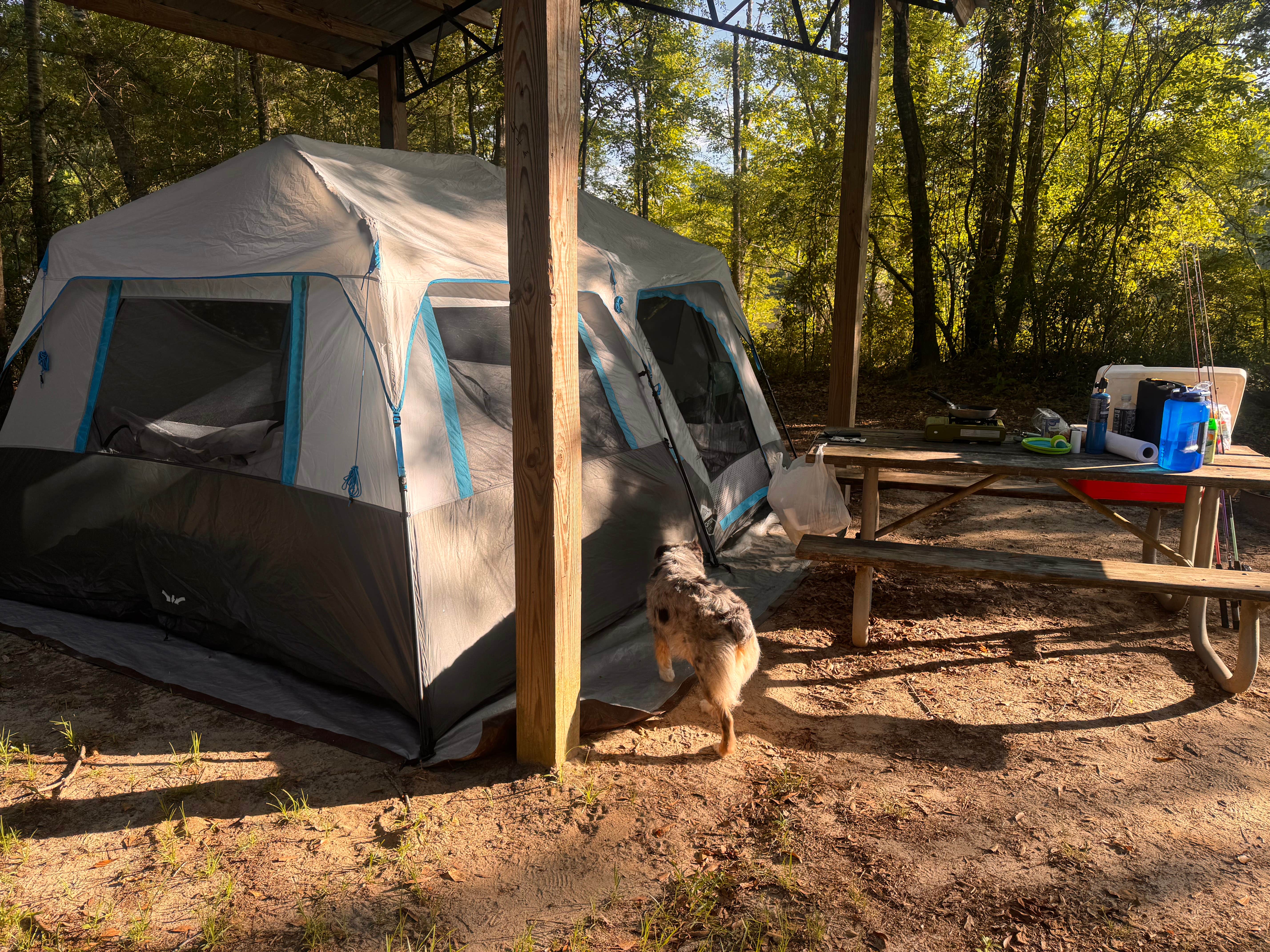 Rachel E.'s photo at Cotton Lake near Milton, FL