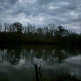 Review photo of Cotton Lake by Rick V., March 1, 2026