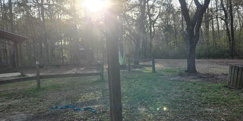 Camper submitted image from Cotton Landing