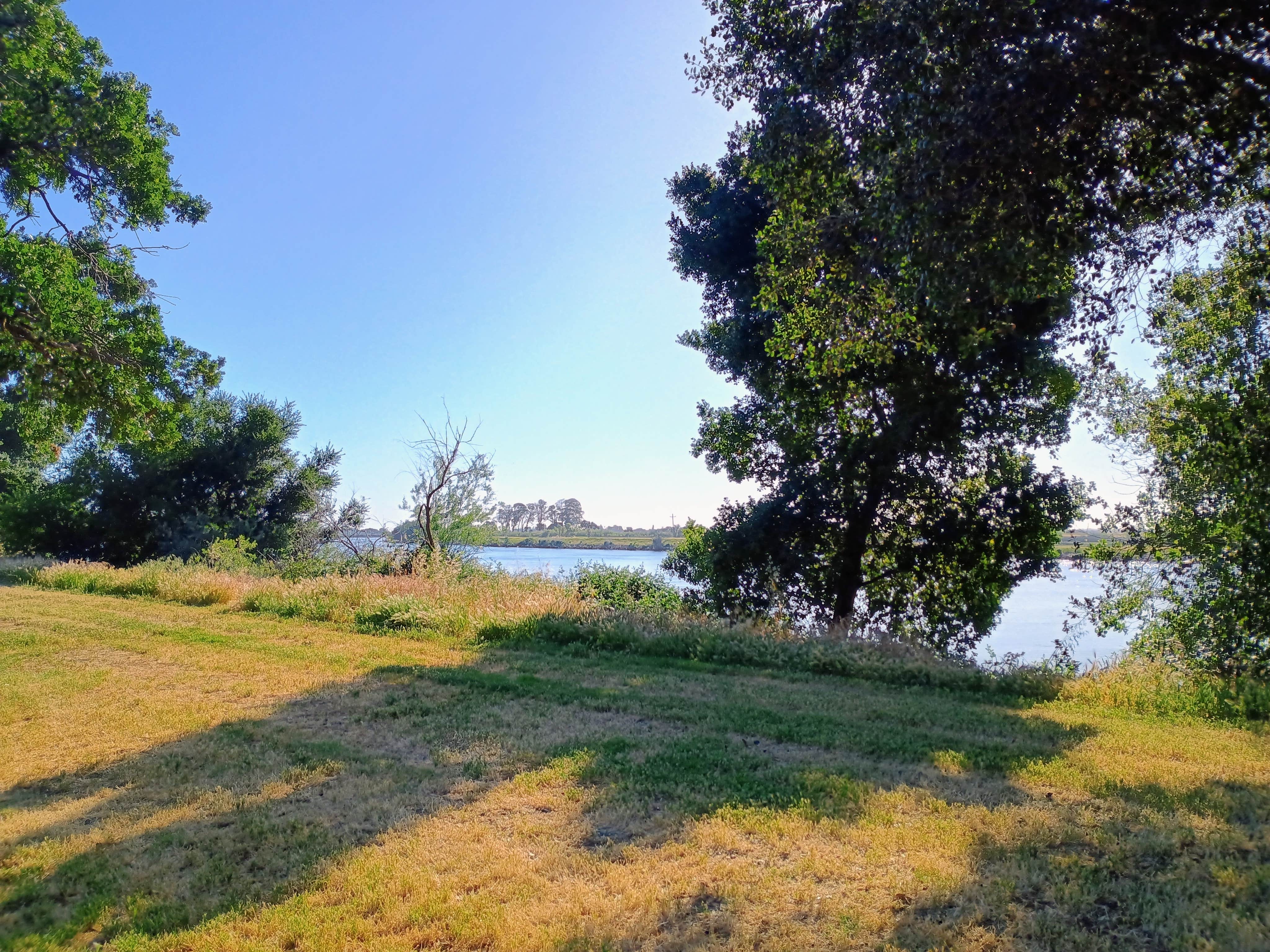 Camper-submitted photo at Cottonwood Campground — Brannan Island State Recreation Area near Pittsburg, CA