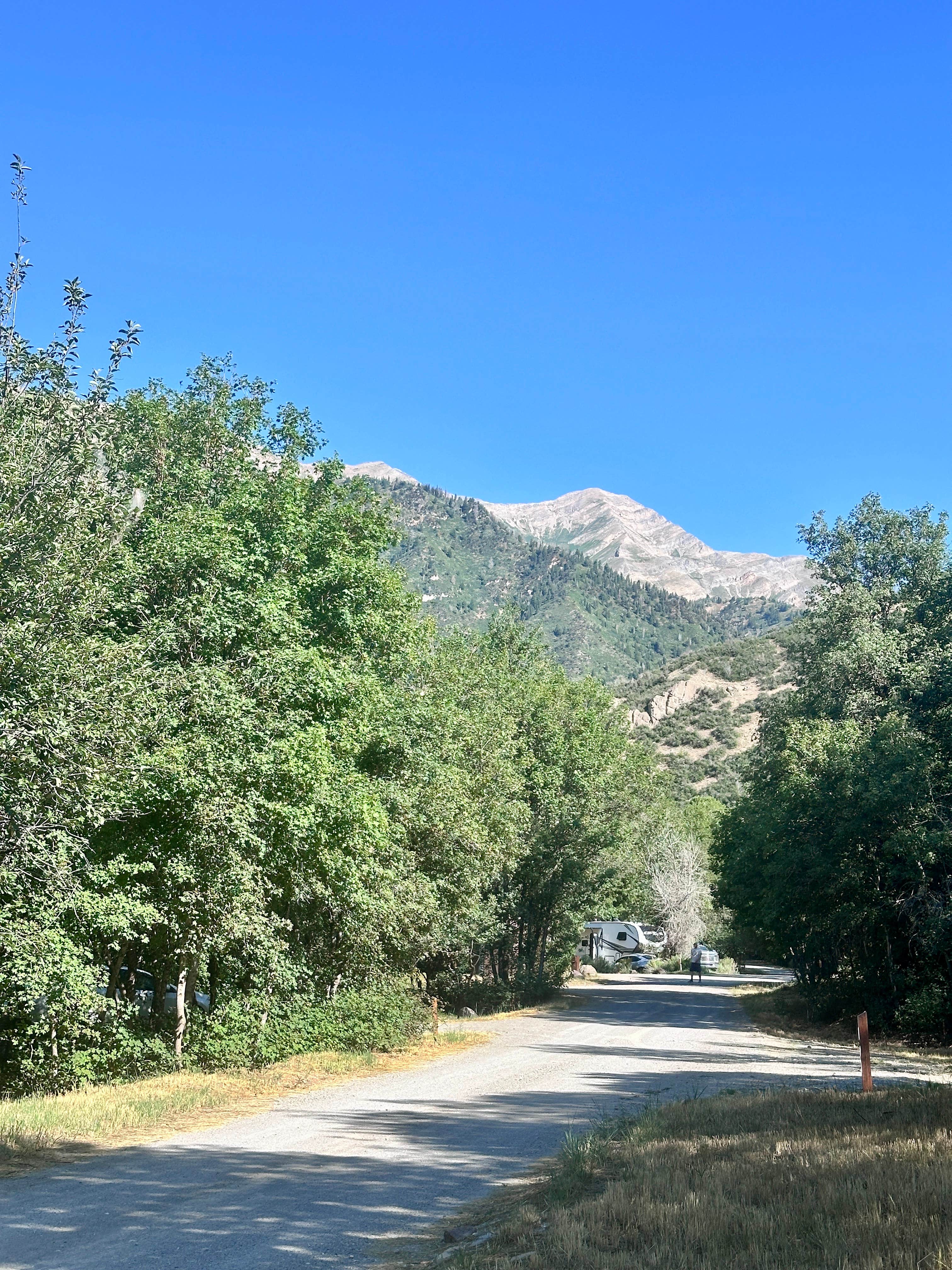 Camper-submitted photo at Cottonwood Campground near Mona, UT