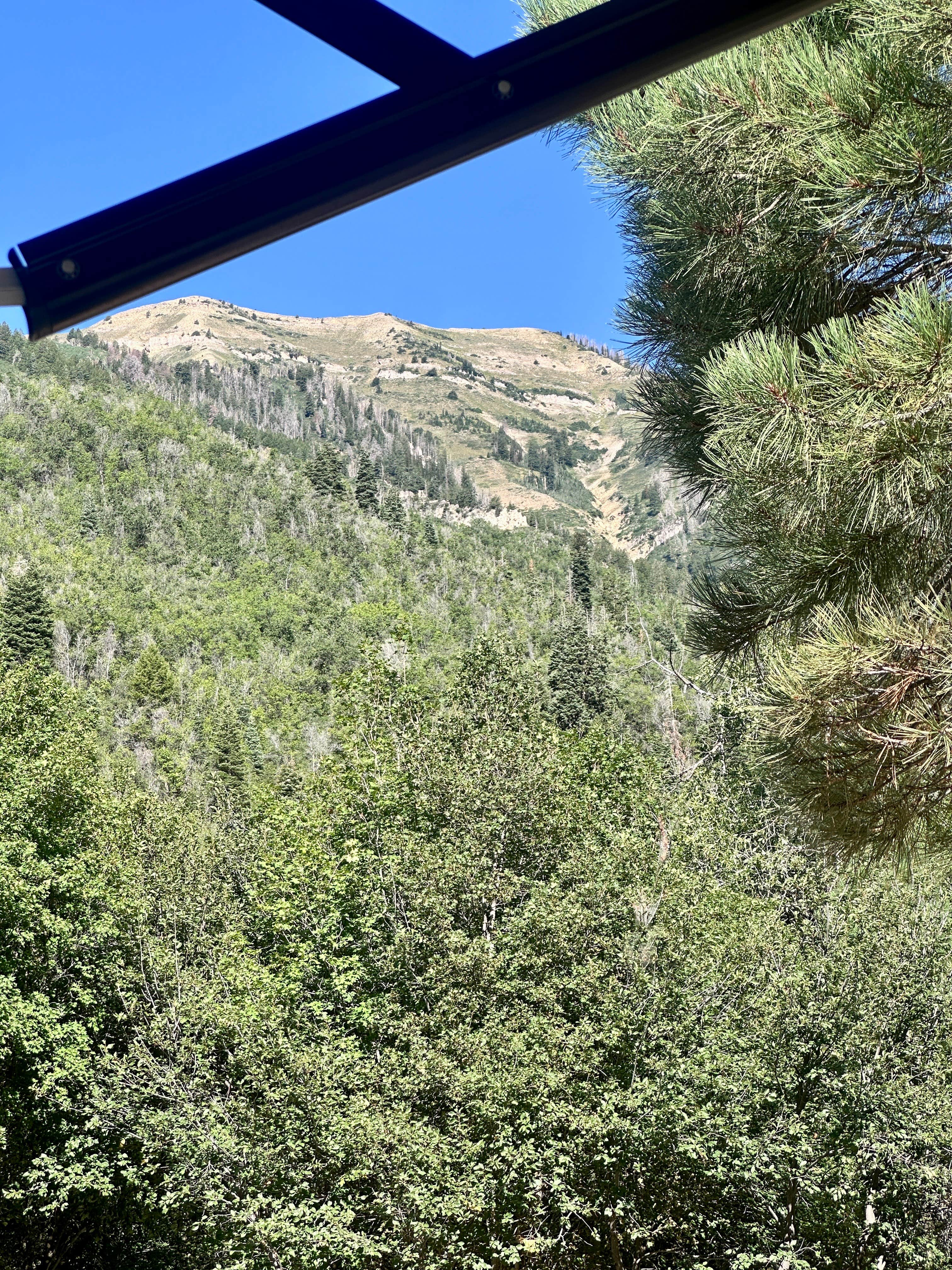Camper-submitted photo at Cottonwood Campground near Mona, UT