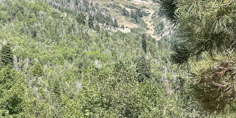 Camper submitted image from Cottonwood Campground
