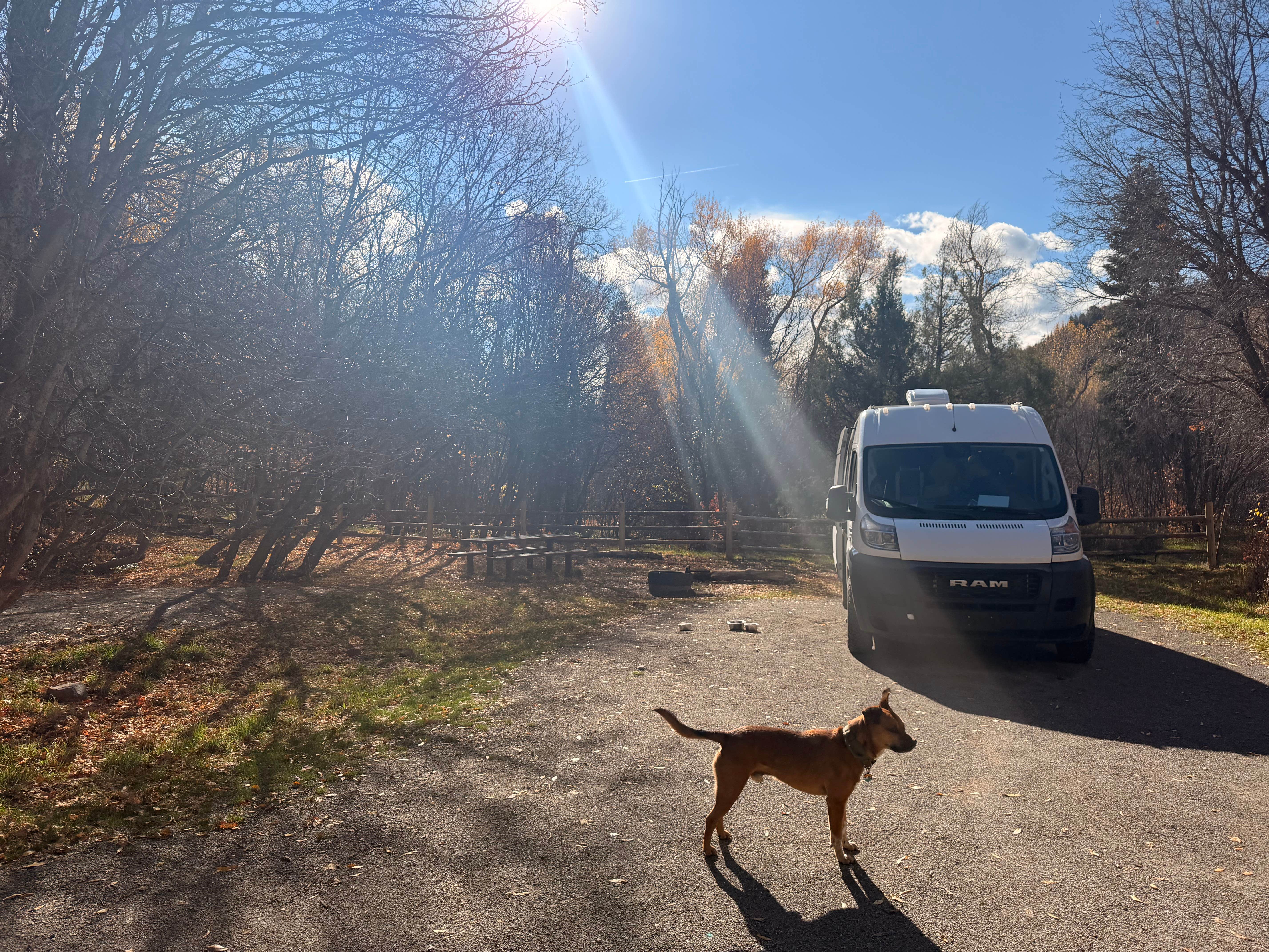 Camper-submitted photo at Cottonwood Campground near Mona, UT