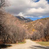 Review photo of Cottonwood Campground by Amy W., October 28, 2026