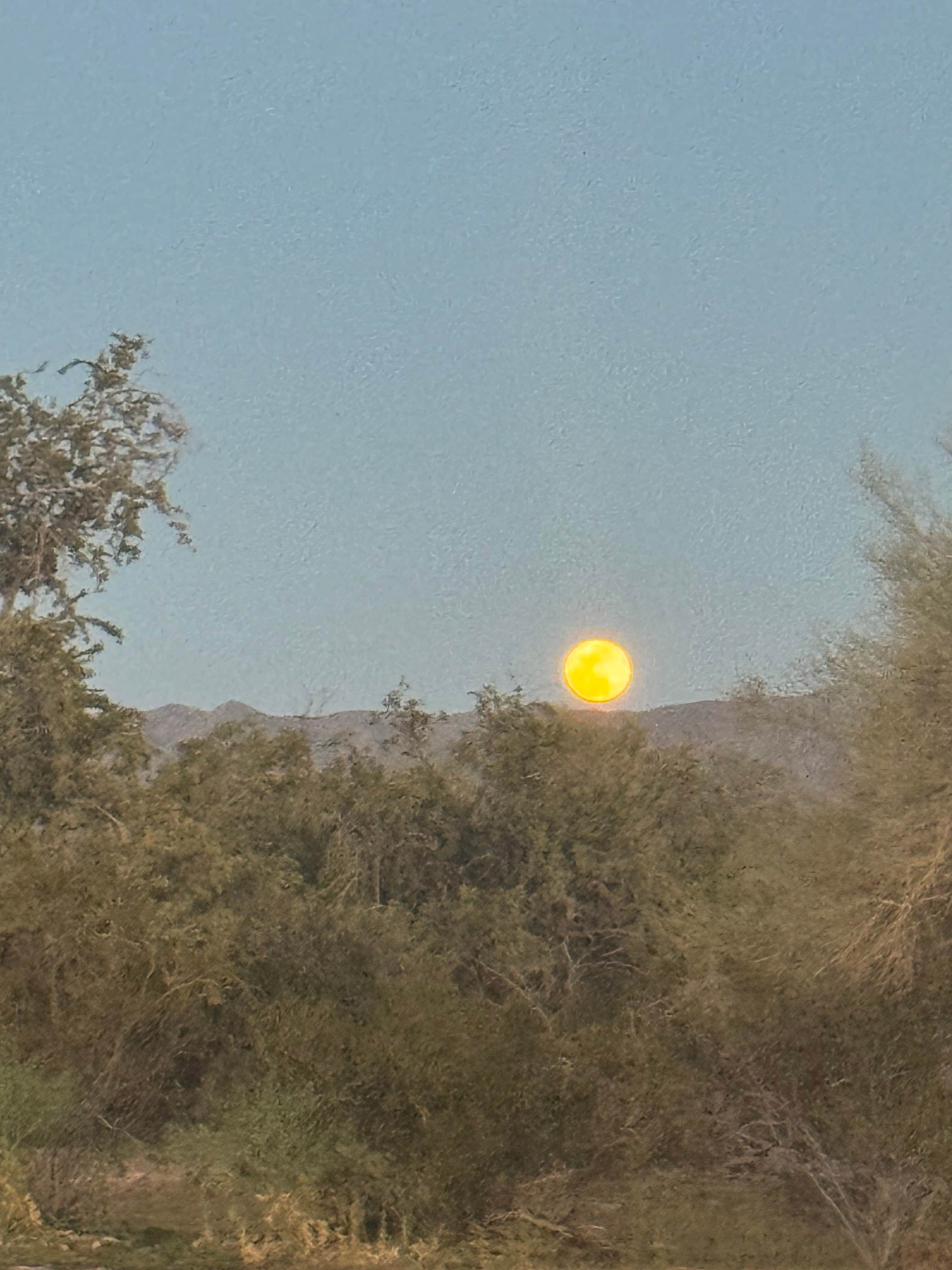 Brenda Y.'s photo of a dispersed camping area at Cottonwood Canyon Rd. Dispersed near San Tan Valley, AZ
