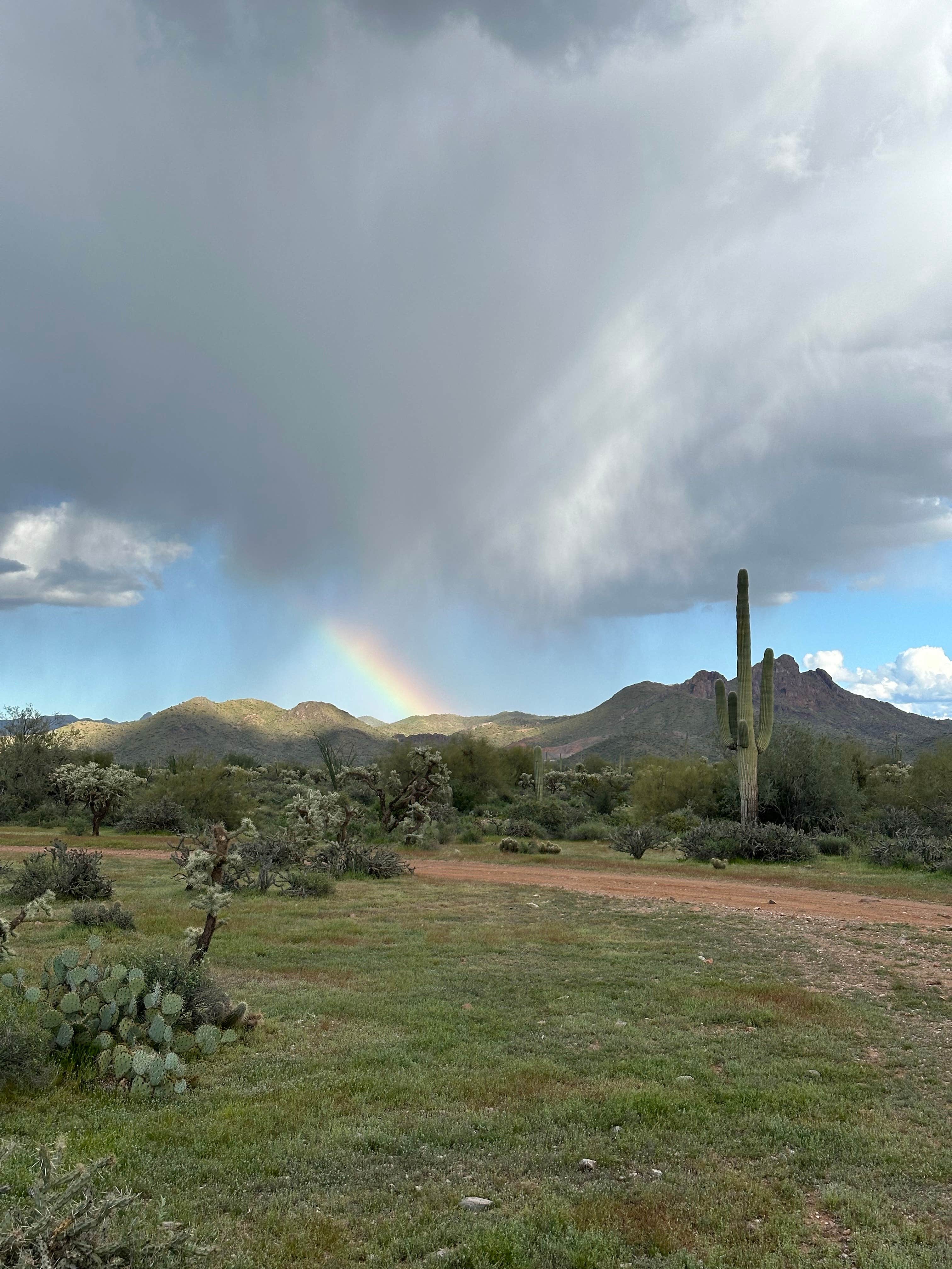 Sammy S.'s photo of a dispersed camping area at Cottonwood Canyon Rd. Dispersed near Casa Grande, AZ