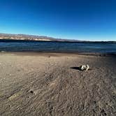 Review photo of Cottonwood Cove Campground — Lake Mead National Recreation Area by Wayne B., November 9, 2023