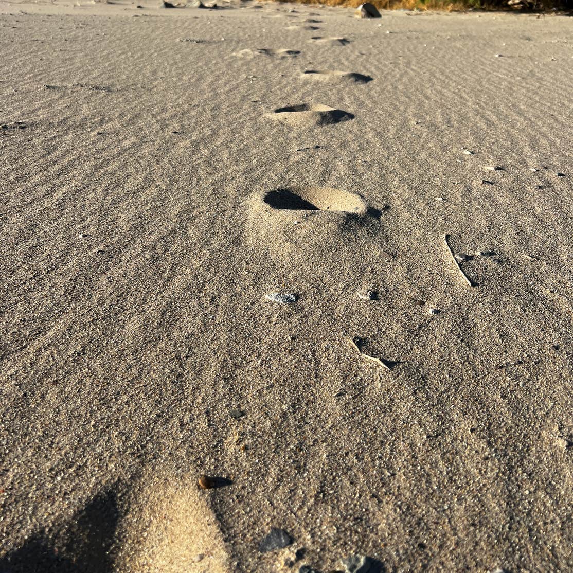Cottonwood Cove Campground — Lake Mead National Recreation Area Searchlight, NV