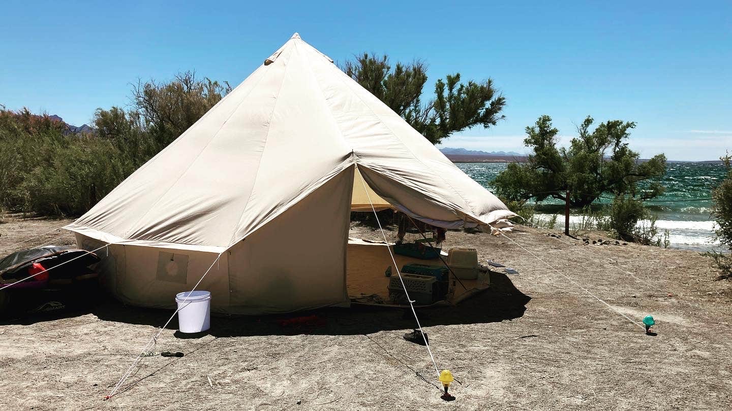 nick E.'s photo at cottonwood cove near Nipton, CA