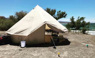 nick E.'s photo of a dispersed camping area at cottonwood cove near Dolan Springs, AZ