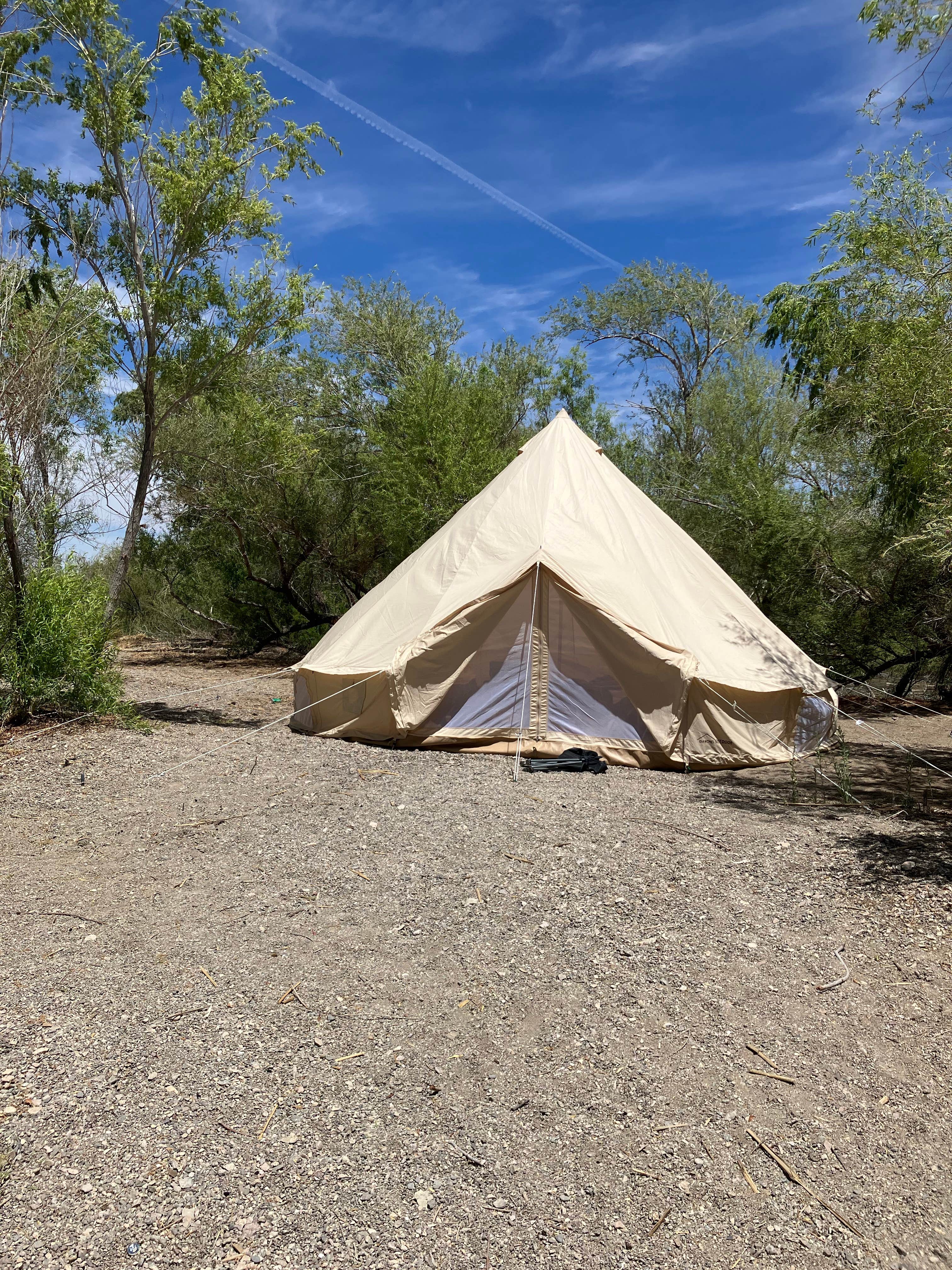 Camper submitted image from cottonwood cove - 1