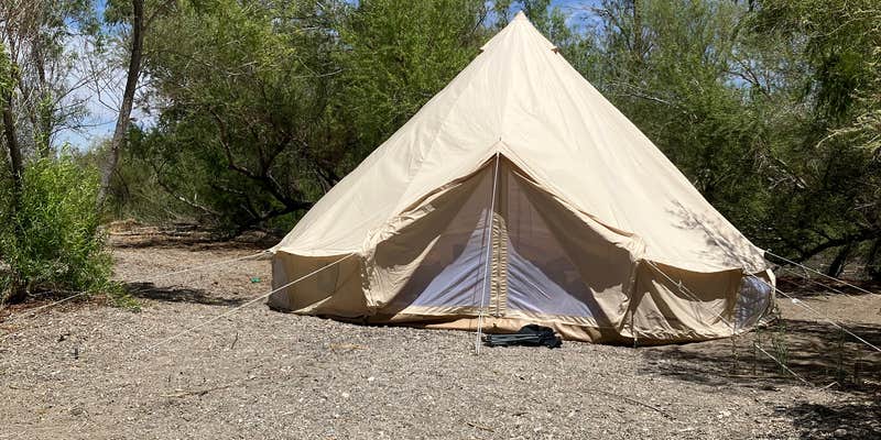 Camper submitted image from cottonwood cove