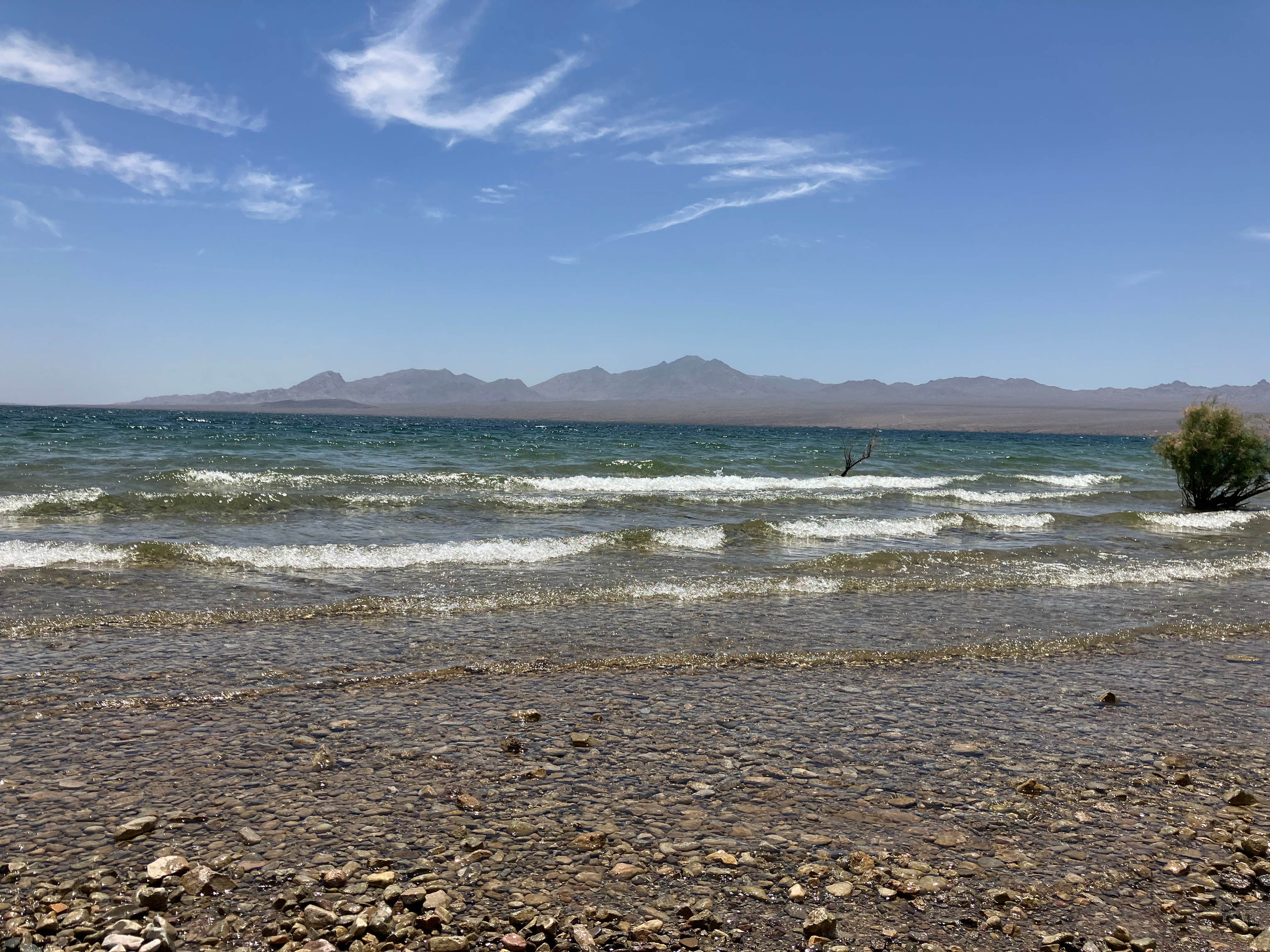 Camper-submitted photo at cottonwood cove near Dolan Springs, AZ