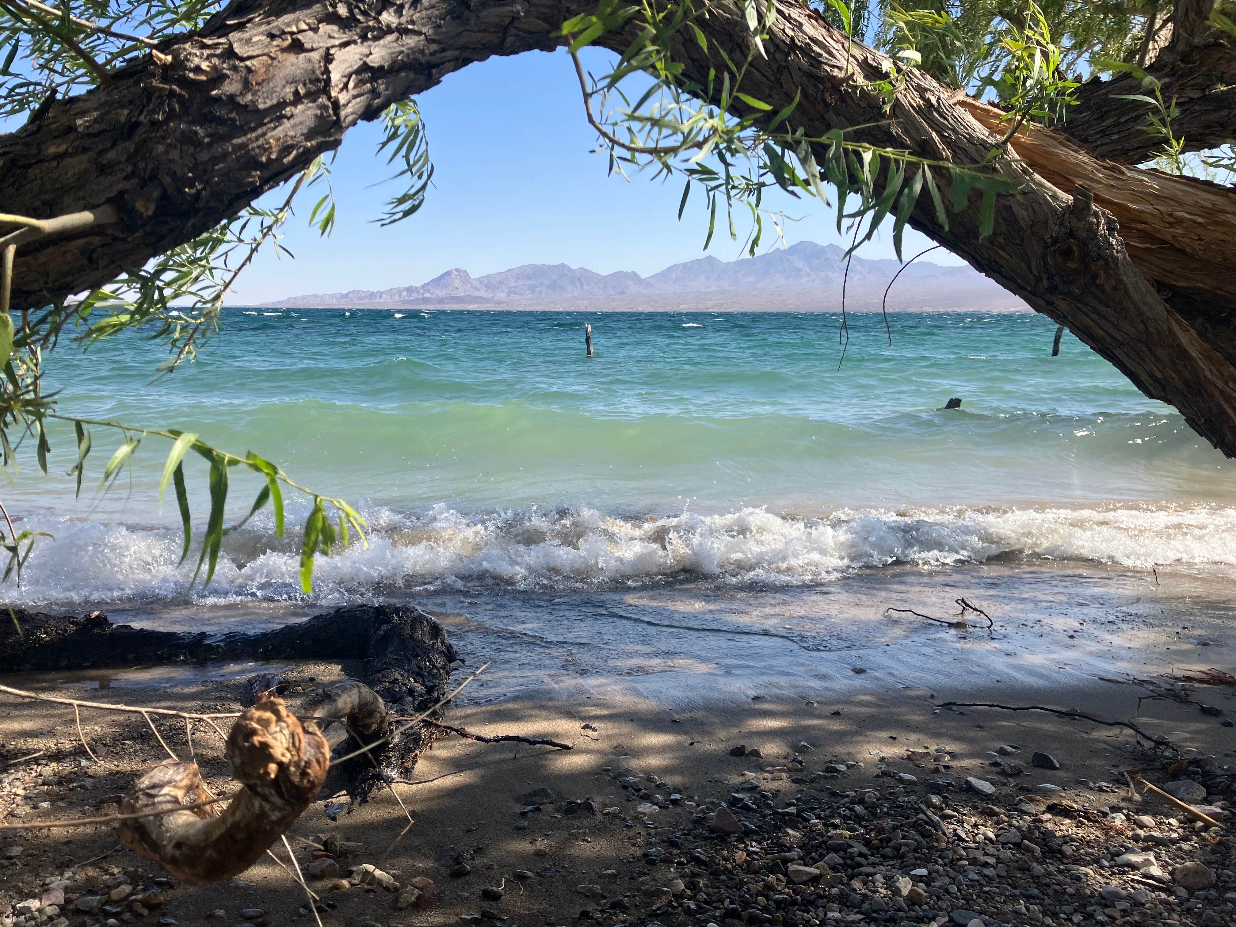 Camper-submitted photo at cottonwood cove near Dolan Springs, AZ