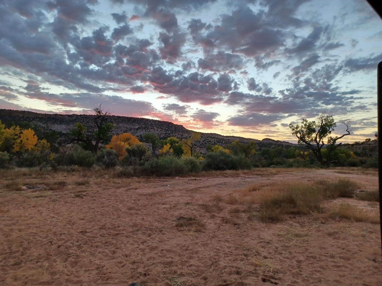 Camper submitted image from Cottonwood/Elk Mountain Road Dispersed Campsite - 1